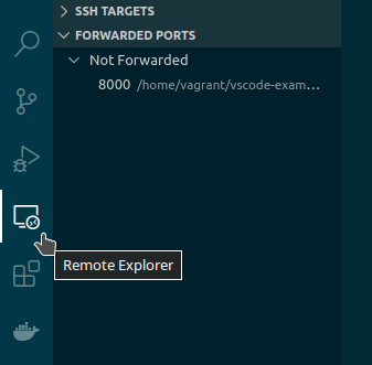 VS Code Remote explorer