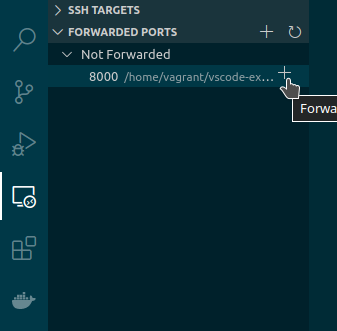 VS Code Remote explorer add port