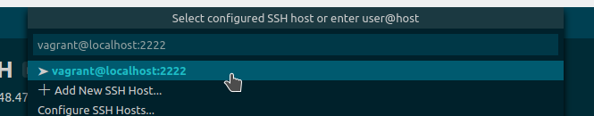 VS Code Remote SSH Connection Details