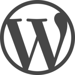 Wordpress developer